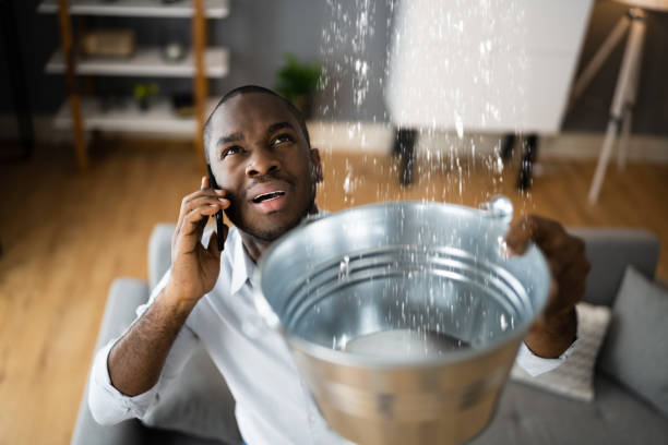 Best Water damage restoration cost  in La Grange, KY
