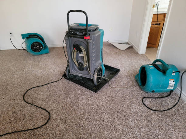 Best 24-hour water damage restoration  in La Grange, KY