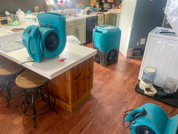 Best Mold removal after water damage  in La Grange, KY