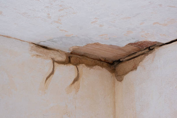 Best Sewage cleanup and water damage restoration  in La Grange, KY