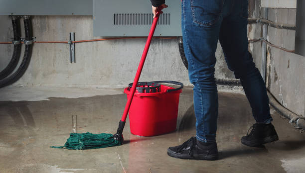 Best Professional water damage repair  in La Grange, KY