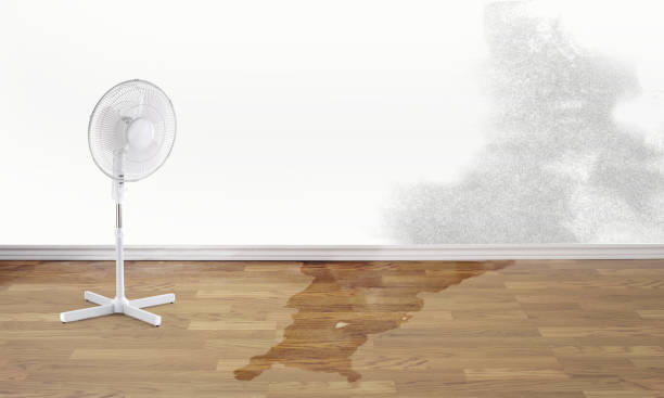 Best Water damage contractors near me  in La Grange, KY