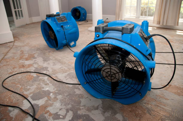 Best Local water damage restoration  in La Grange, KY