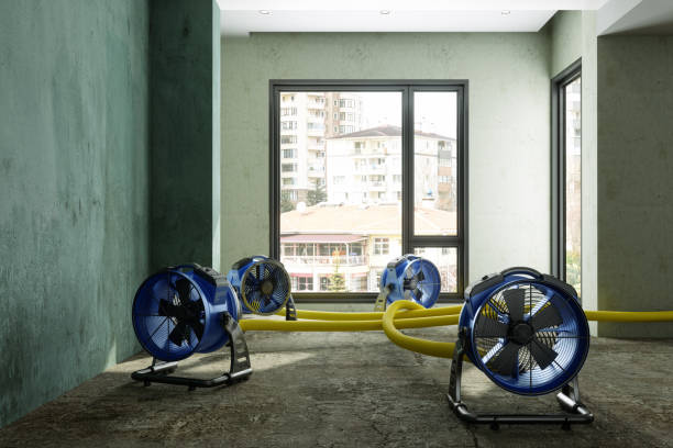 Best Ceiling water damage repair  in La Grange, KY
